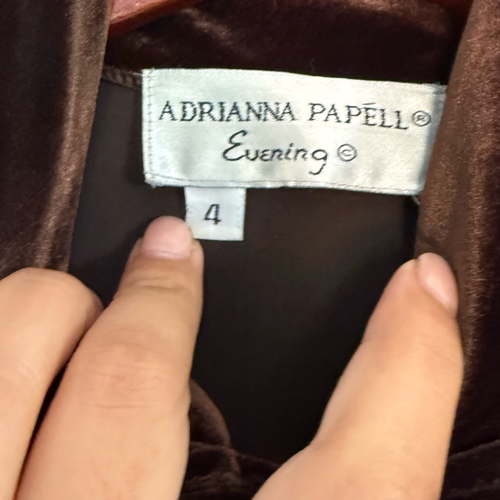 Adrianna Papell Brown velvet Maxi Dress with Pink Floral Detail - Picture 3 of 6
